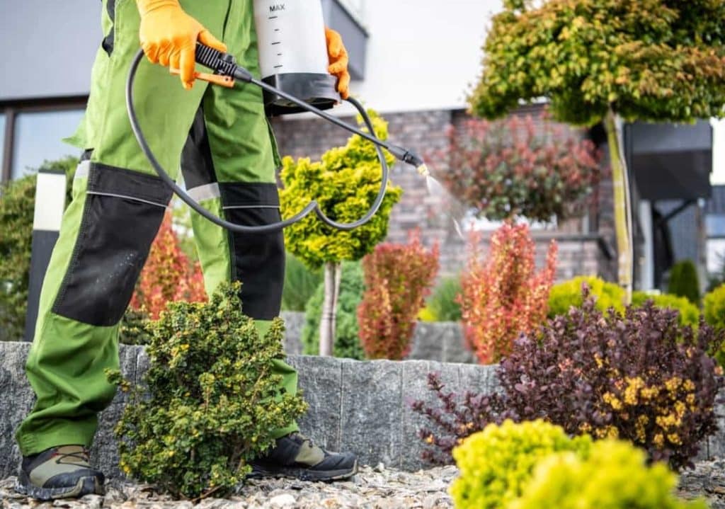 Landscaping-Affect-Pest-Control-1024x719