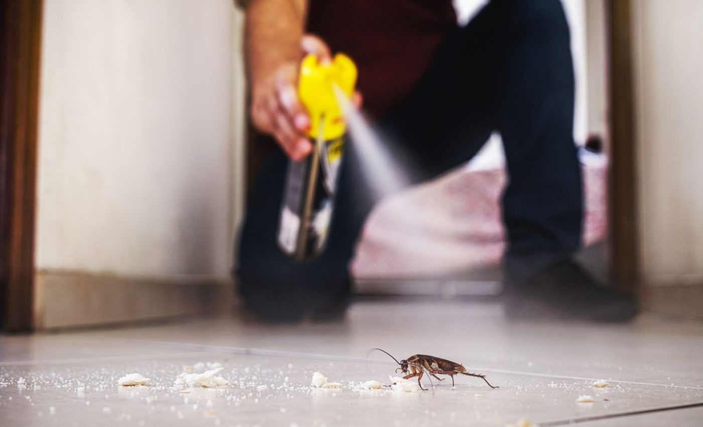 study-reveals-the-inefficiency-of-popular-cockroach-sprays-1400x850
